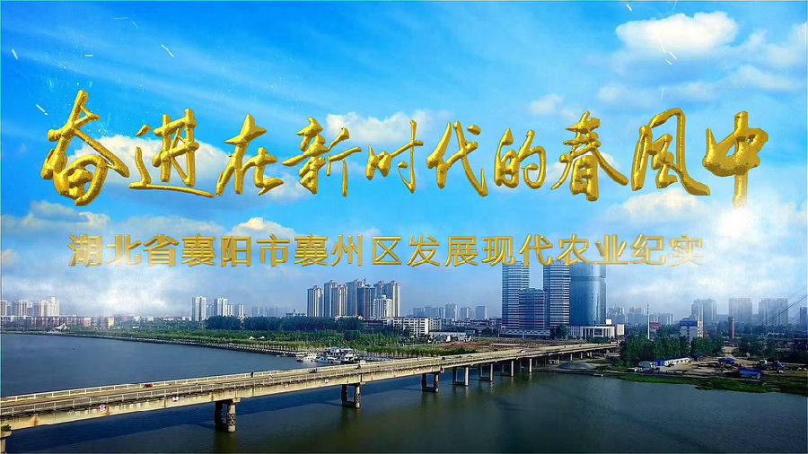 &#108;&#101;&#121;&#117;&#46;&#20048;&#40060;&#40;&#38598;&#22242;&#41;&#20307;&#32946;&#45;&#31185;&#25216;&#32929;&#20221;&#26377;&#38480;&#20844;&#21496;&#32593;&#31449;